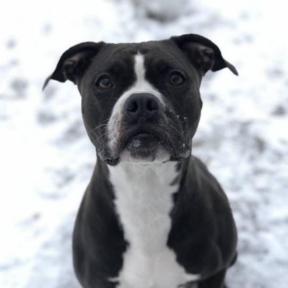 Meet your Posher, Jazmynn